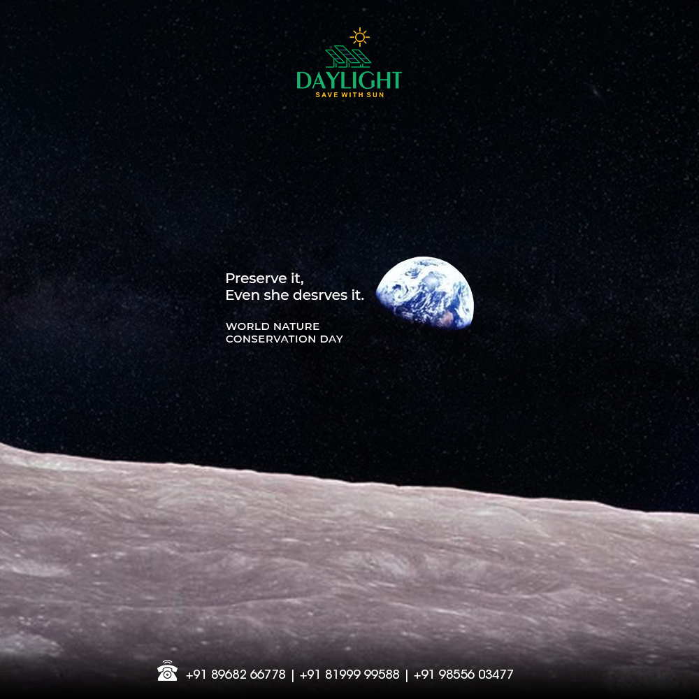 Daylight, Brand & Campaign — gallery 4
